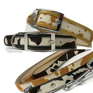 leather dog collar & leash