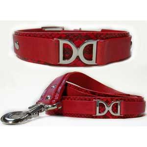 designer dog collar & leash