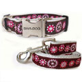  big dog collar with kaleidoscope flowers