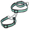 Martingale collar and Martingale training collar