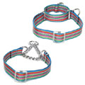 Martingale collar and Martingale training collar
