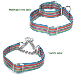 Martingale collar and Martingale training collar