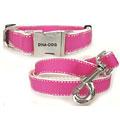 hot pink big dog collar