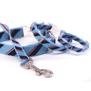 striped collar harness & leash 