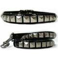 designer dog collar & leash