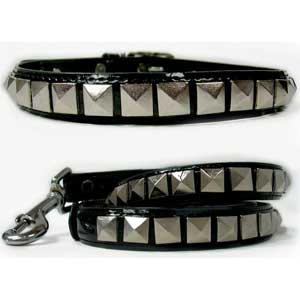 designer dog collar & leash
