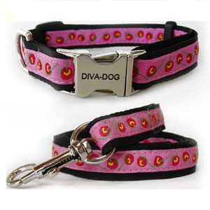 cherries dog collar & leash