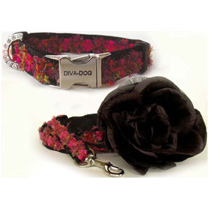coco dog collar & leash