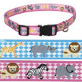 puppy collar and leash