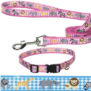 puppy collar and leash