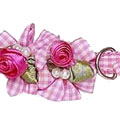 embellished dog collar 