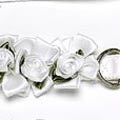 embellished dog collar perfect for a Wedding