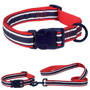 All American collar and leash