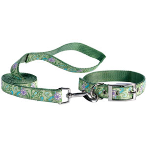 paisley flower dog collar