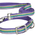 striped dog collar and leash