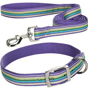 striped dog collar and leash