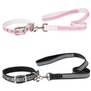 houndstooth collar and leash