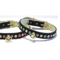 crystal dog collar