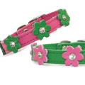 leather flowers dog collar with crystal centers