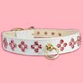 crystal dog collar