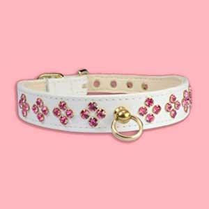 crystal dog collar