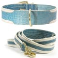 big dog collar & leash