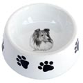 Best of Show dog bowl