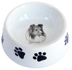 Best of Show dog bowl