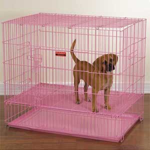 pink puppy crate