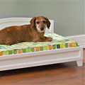 white dog bed with mattress - Bleeker Dog Bed