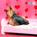 small dog bed with bone design