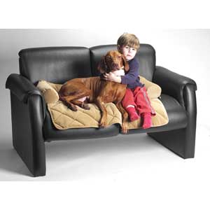 Couch Cozy