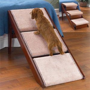 wood dog stairs and dog ramp in one