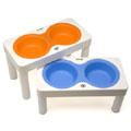 Large Studio Duo elevated dog diners with combo food + water bowl