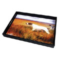 AKC serving tray