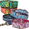 designer big dog collar available in 4 different color choices with matching leads