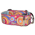 designer big dog collar with matching leads