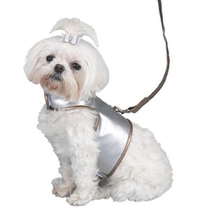 metallic small dog harness vest
