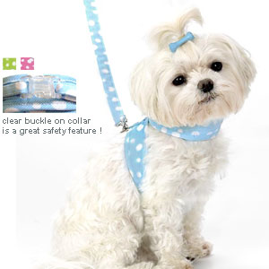small dog harness