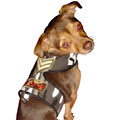 designer boy dog camo soft harness vest
