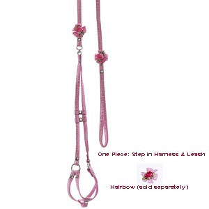 step in harness + leash:  pink gingham