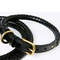 braided leather dog collar & leash