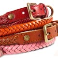 braided leather dog collar & leash