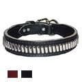 leather dog collar - Comet
