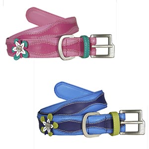 Fiore leather dog collar and matching leash 
