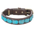 leather dog collar with genuine turquoise stones