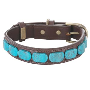 leather dog collar with genuine turquoise stones