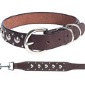 leather dog collar with round silver studs