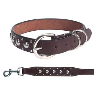 leather dog collar with round silver studs