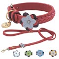 designer leather dog collar with genuine Burma Jade cabochon